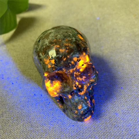 Yooperlite Skull